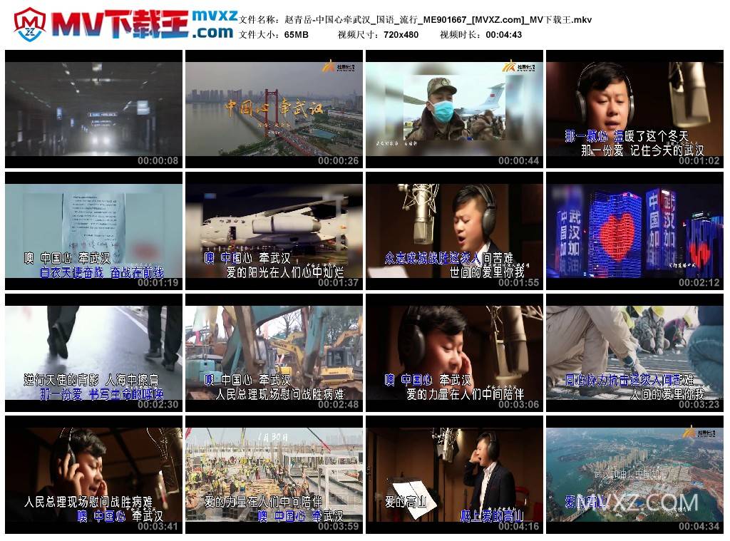 赵青岳-中国心牵武汉_国语_流行_ME901667